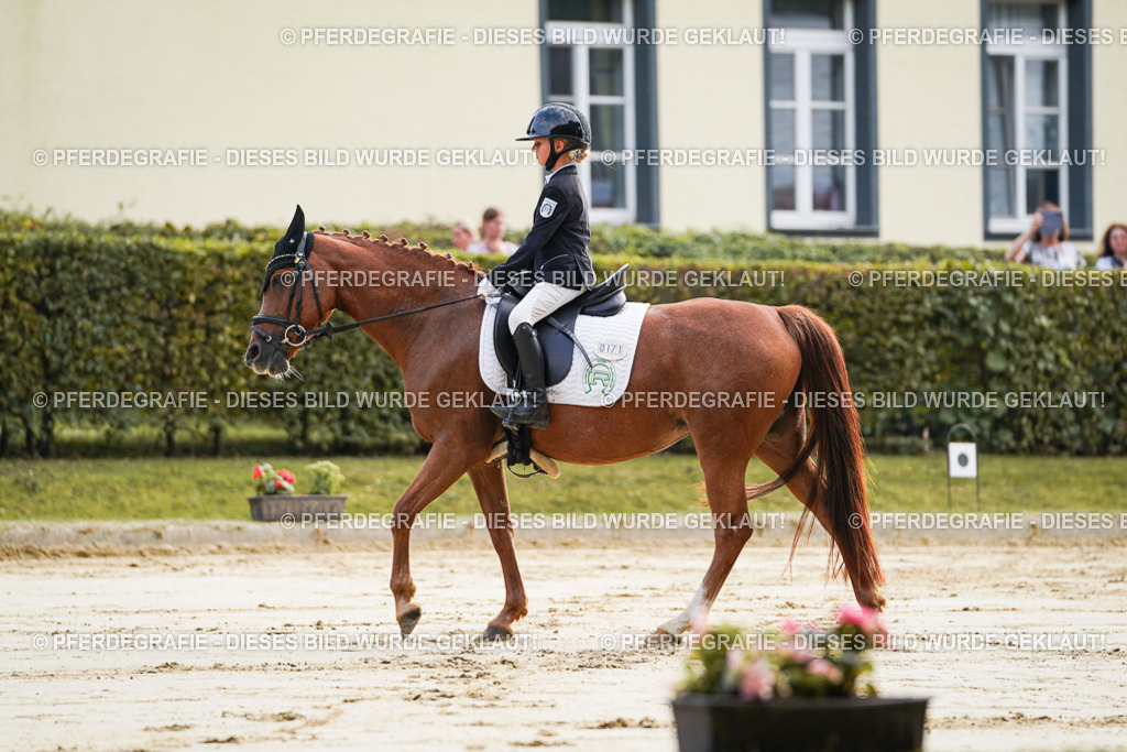 DSC05439 | Pferdegrafie