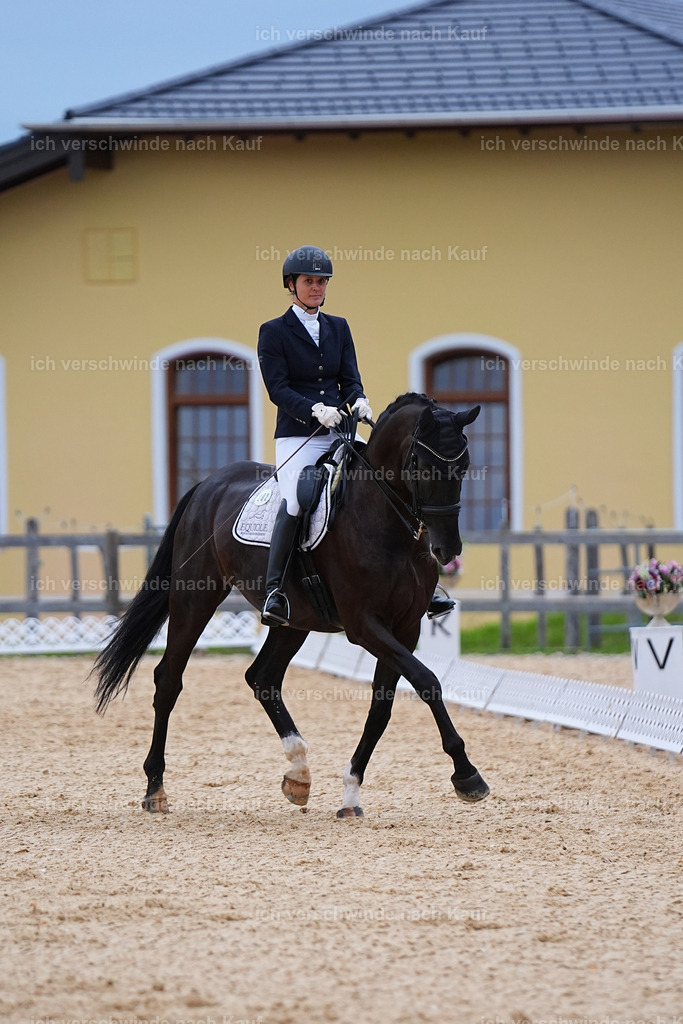 04_2-206-Dressur M__ -Marixx-3055 | working equitationturnier fotograf videograf stoibphotography marixx film working equitation deutschland reitsport turnierfotografie eventfotografie equestrian events