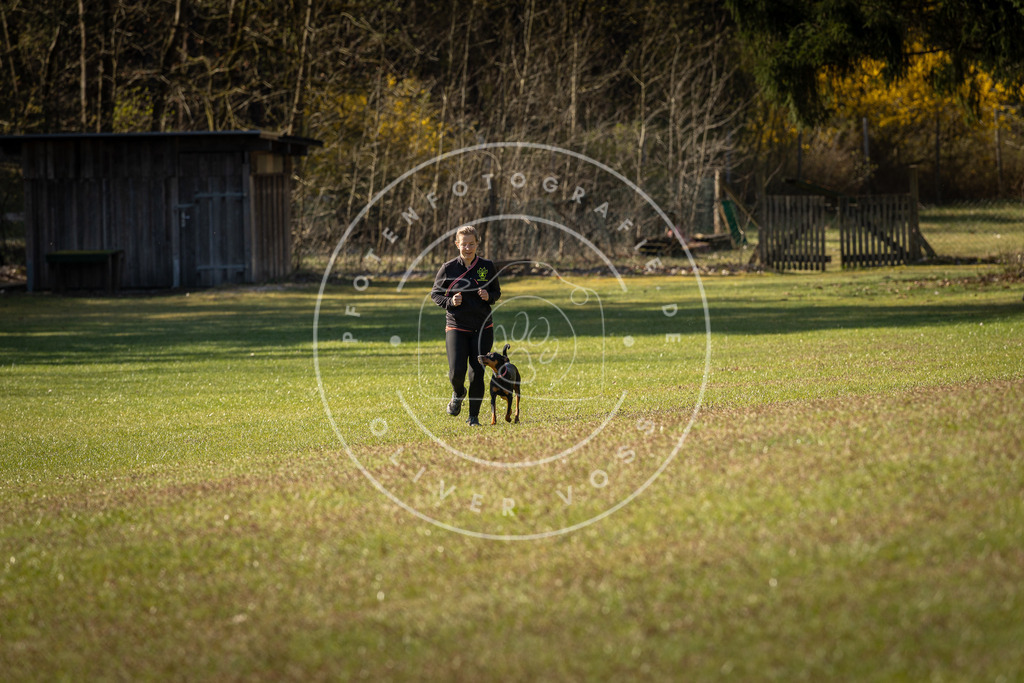 Pfotenfotografie_DV3A0270 | Hundefotografie, Tierfotograf, Pfotenfotografie, Fotoshooting Hund, Hunde Portrait, Hundesport, Hundeportraits, Heideshooting, Hunde, Sportfotograf, Hundefotograf, Turnierhundsport, THS,  - Realisiert mit Pictrs.com