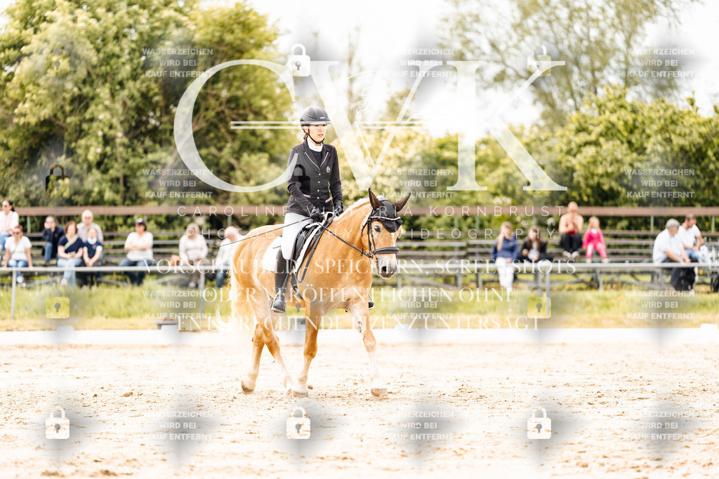 CK902917 | Turnierfotografie Pferdefotografie Trier Rheinland-Pfalz Pferdesport Reitsport Tierfotografie Sportfotografie Pferdevideo Pferdevideografie Equestrianvideography equestrianphotography  - Realisiert mit Pictrs.com
