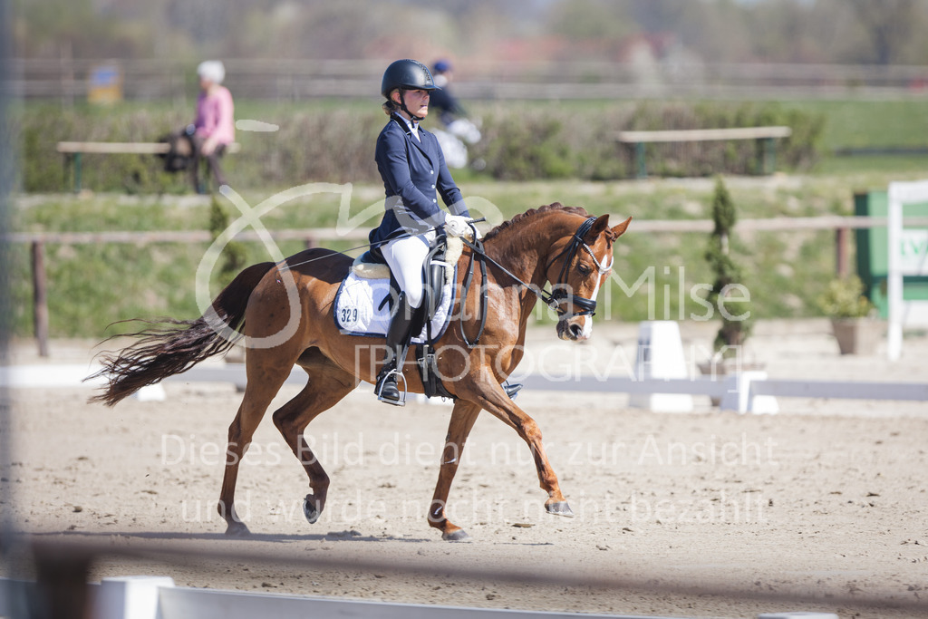 220418_Dressurpferde-L-161 | Frühlingsfest der Pferde
Herford
18.April 2022
Dressurpferdeprfg. Kl.L DL2