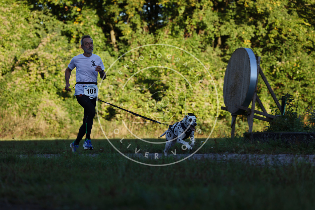 0L8A4559 | Hundefotografie, Tierfotograf, Pfotenfotografie, Fotoshooting Hund, Hunde Portrait, Hundesport, Hundeportraits, Heideshooting, Hunde, Sportfotograf, Hundefotograf, Turnierhundsport, THS,  - Realisiert mit Pictrs.com