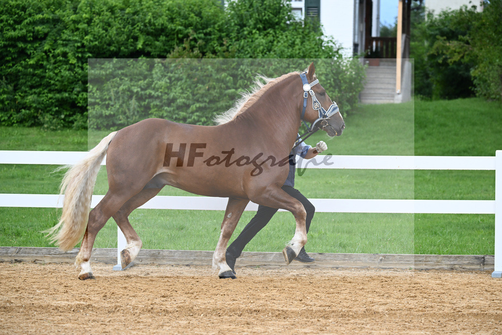 Rivaldo_27140185 | hf-fotografie - Realisiert mit Pictrs.com