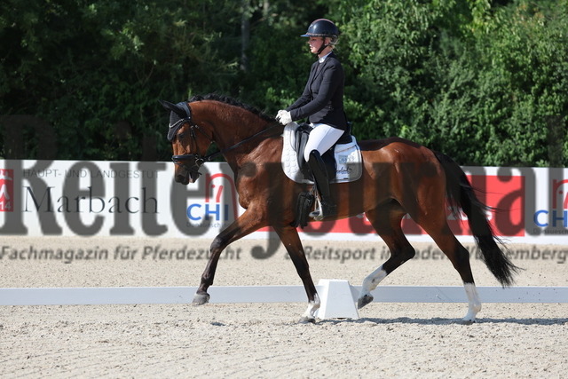 Weilheim_2025_Prfg.Nr.24_Reitpferdeprüfung_Carolin Heckemberger_Velyns Belvina B (5) | Alle Fotos der Reiterjournal Fotografin Doris Matthaes im Reiterjournal Online-Fotoshop. - Realisiert mit Pictrs.com