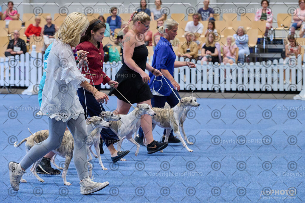 202406_ÖKV-IHA-Tulln24_DSC_4925 | proPHOTO - Realisiert mit Pictrs.com