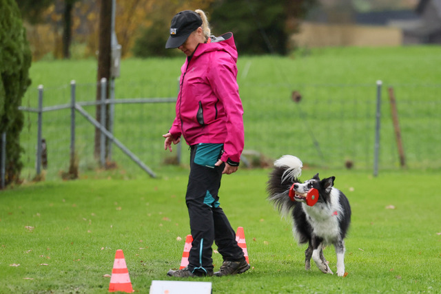 2025_Rally_Obedience_SM-74 | Ich fotografiere Hundeausstellungen, Sportanlässe, Zuchtstätten, Hundezucht, Hundeportrait, Lagotto - Realisiert mit Pictrs.com