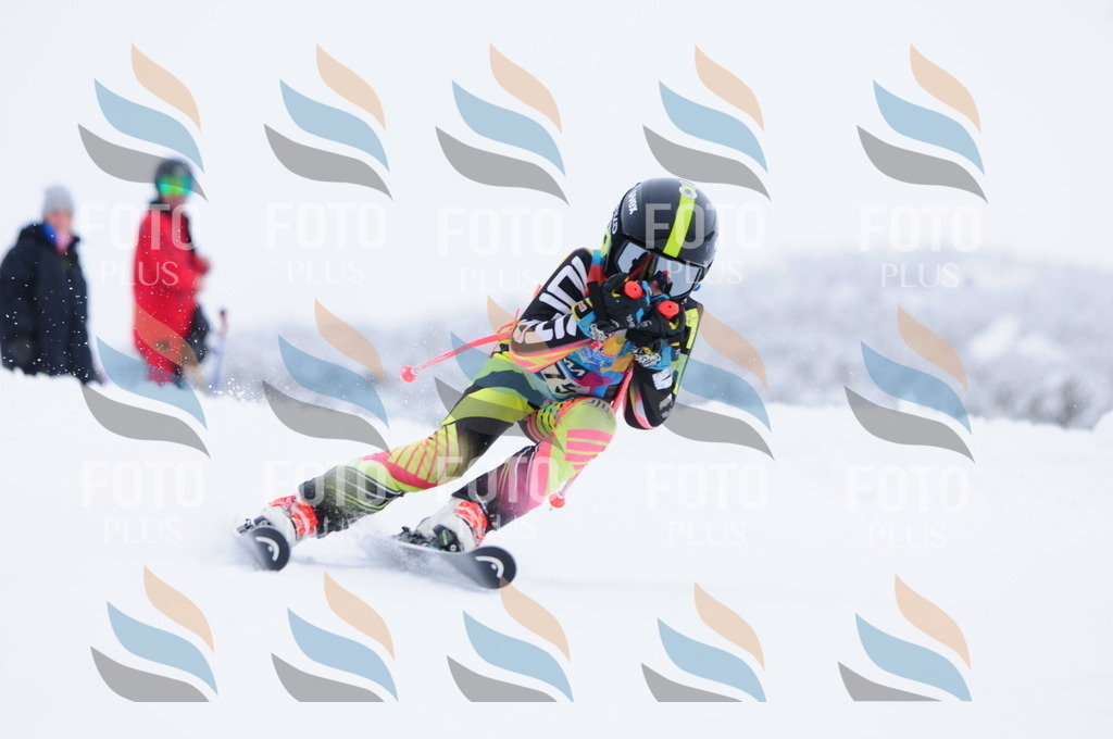 C2906 | holidayphoto