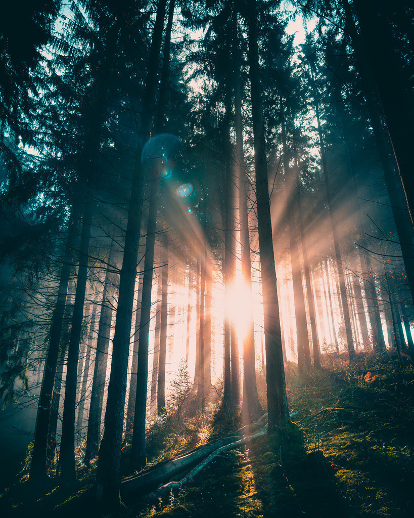 Schwarzwald | Sonnenaufgang im Schwarzwald - Realisiert mit Pictrs.com