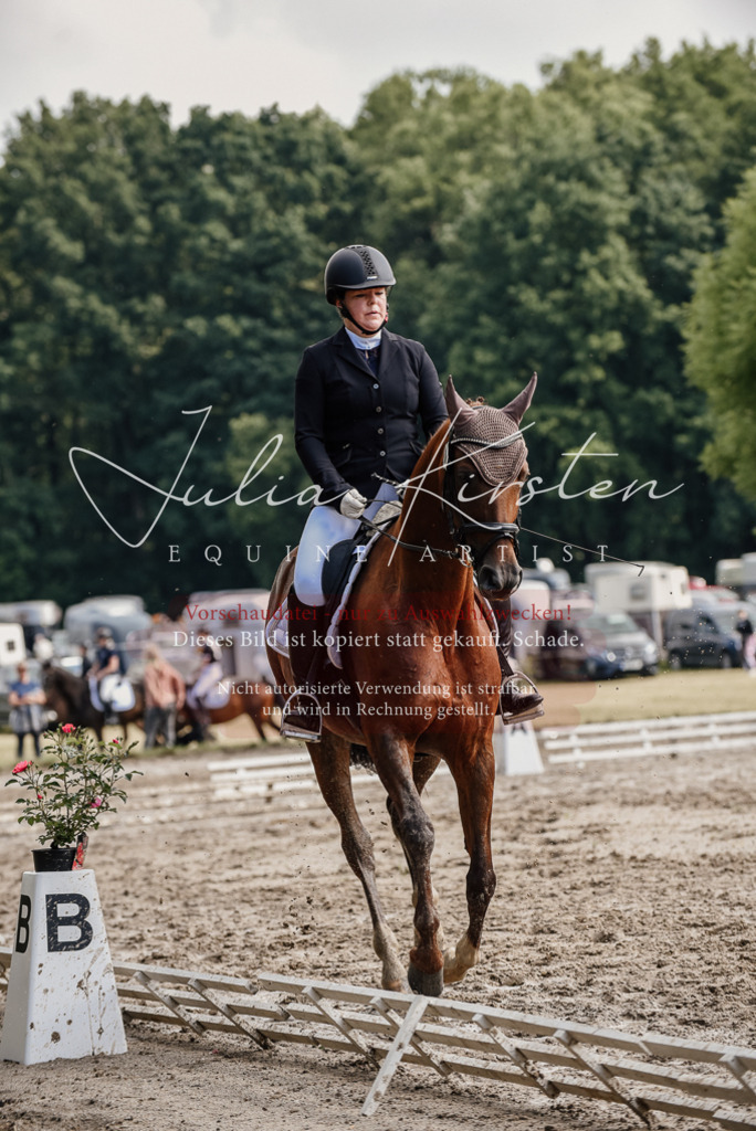 DSC_9317 | Pferde- und Turnierfotografie in Westsachsen. Pferdeportraits, Auftragszeichnungen und intuitive Kunst.
