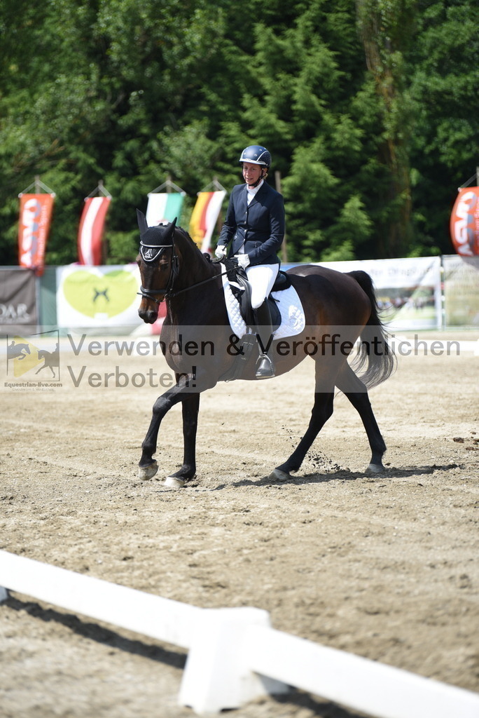 DSC_8954 | equestrian-live-com