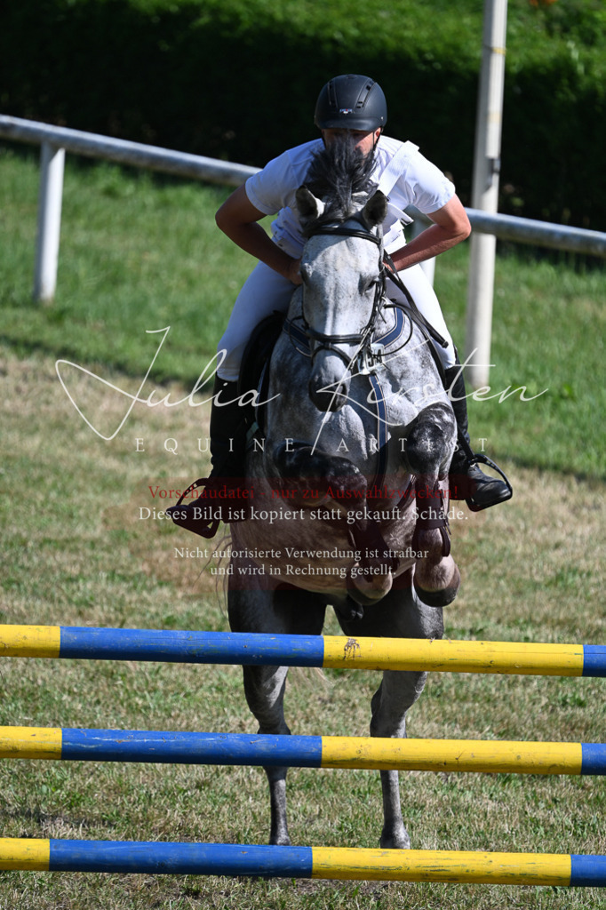 DSC_1857 | Pferde- und Turnierfotografie in Westsachsen. Pferdeportraits, Auftragszeichnungen und intuitive Kunst.