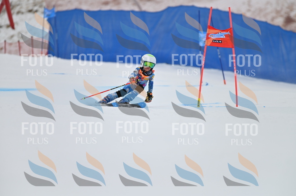 BGV_1515 | holidayphoto