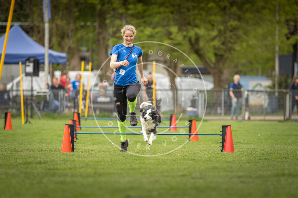 Pfotenfotografie_DV3A8185 | Hundefotografie, Tierfotograf, Pfotenfotografie, Fotoshooting Hund, Hunde Portrait, Hundesport, Hundeportraits, Heideshooting, Hunde, Sportfotograf, Hundefotograf, Turnierhundsport, THS,  - Realisiert mit Pictrs.com
