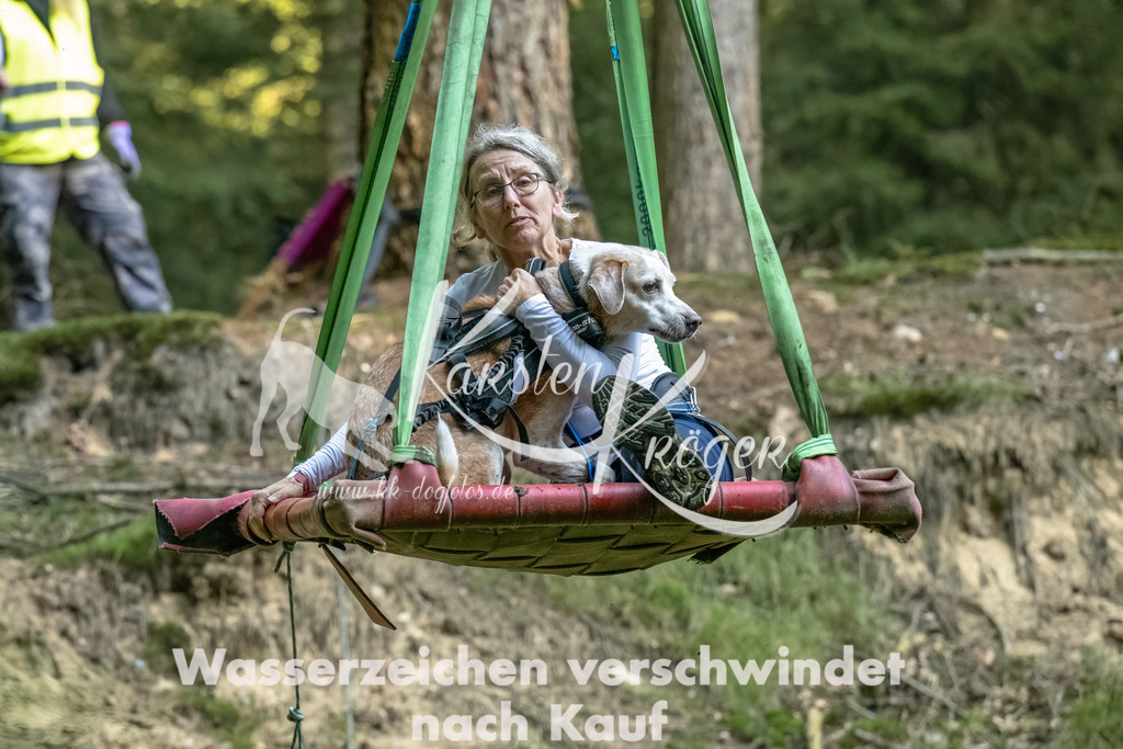 0916_ZZ90765-Bearbeitet | kk-dogfotos