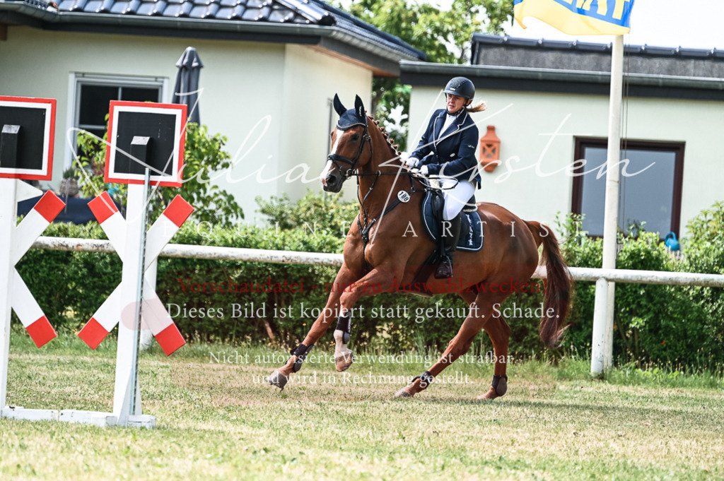 DSC_9393 | Pferde- und Turnierfotografie in Westsachsen. Pferdeportraits, Auftragszeichnungen und intuitive Kunst.
