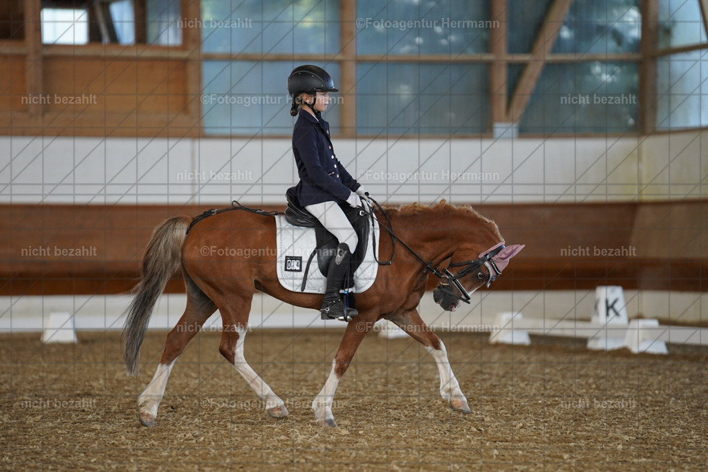 20240824-FAH07119 | Thierhaupten 2024, Bayerisches Landesponyturnier, Turnierbilder, Ponybilder, Turnierfotografen Bayern, Fotoagentur Herrmann