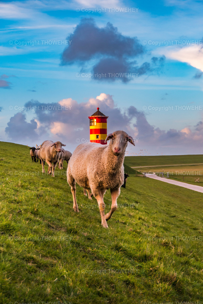 _2830302 | thowehey - Realisiert mit Pictrs.com