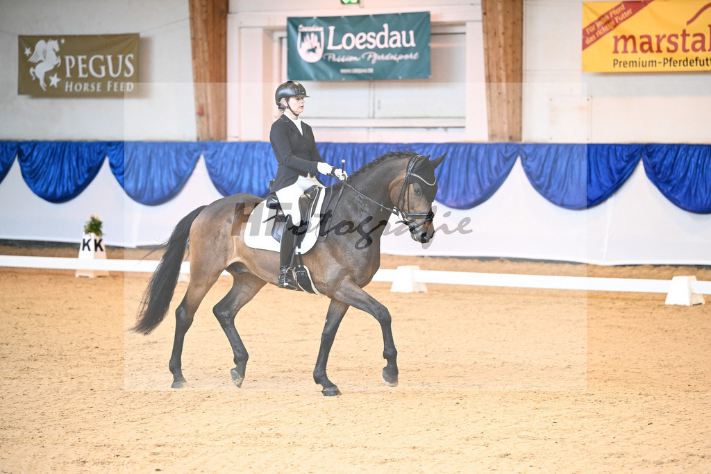 Kat-Nr. 136 TH Frederick_Mayer_14240560 | hf-fotografie - Realisiert mit Pictrs.com