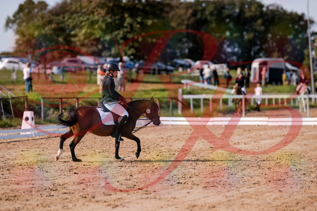 2026_10_03_Siefer-Hof_121018_Z81_12293370 | Professionelle Reitsport-, Turnier- und Eventfotografie von Robert Broda. Galerien mit ausgewählten und bearbeiteten Bildern direkt online ansehen und bestellen.