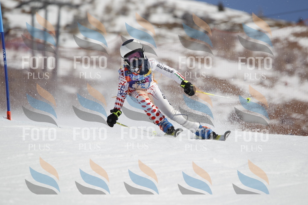 _U3G9855 | holidayphoto