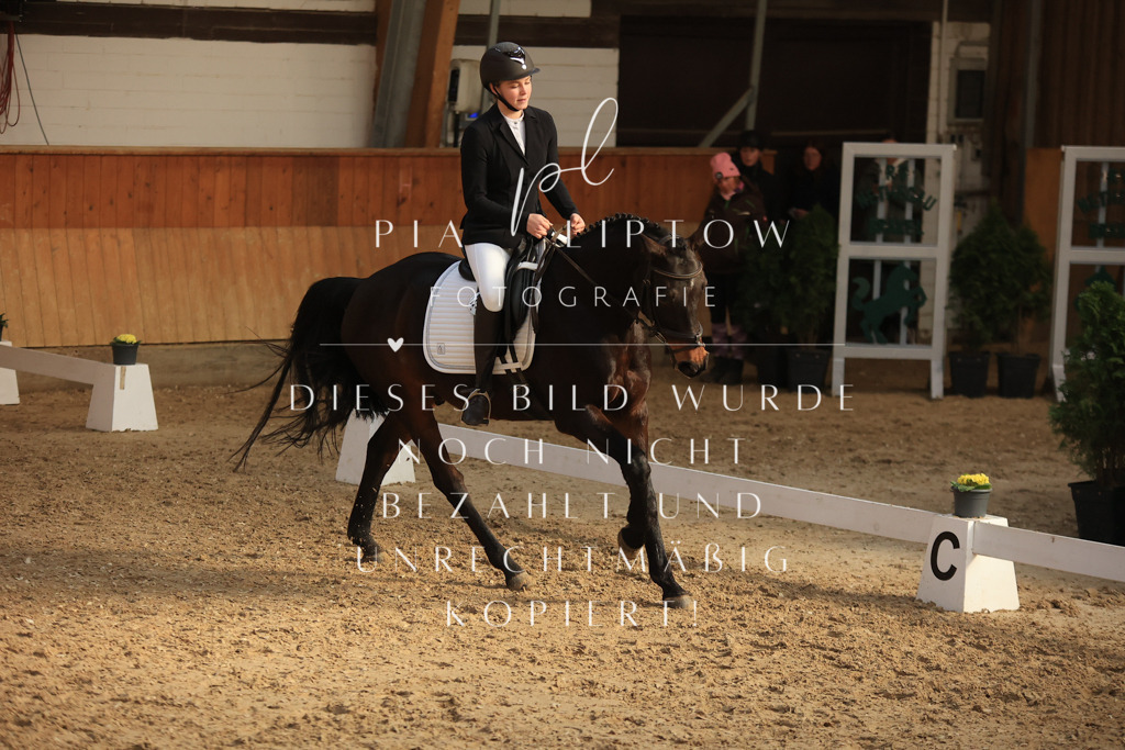 IMGT4113 | pl-fotografie