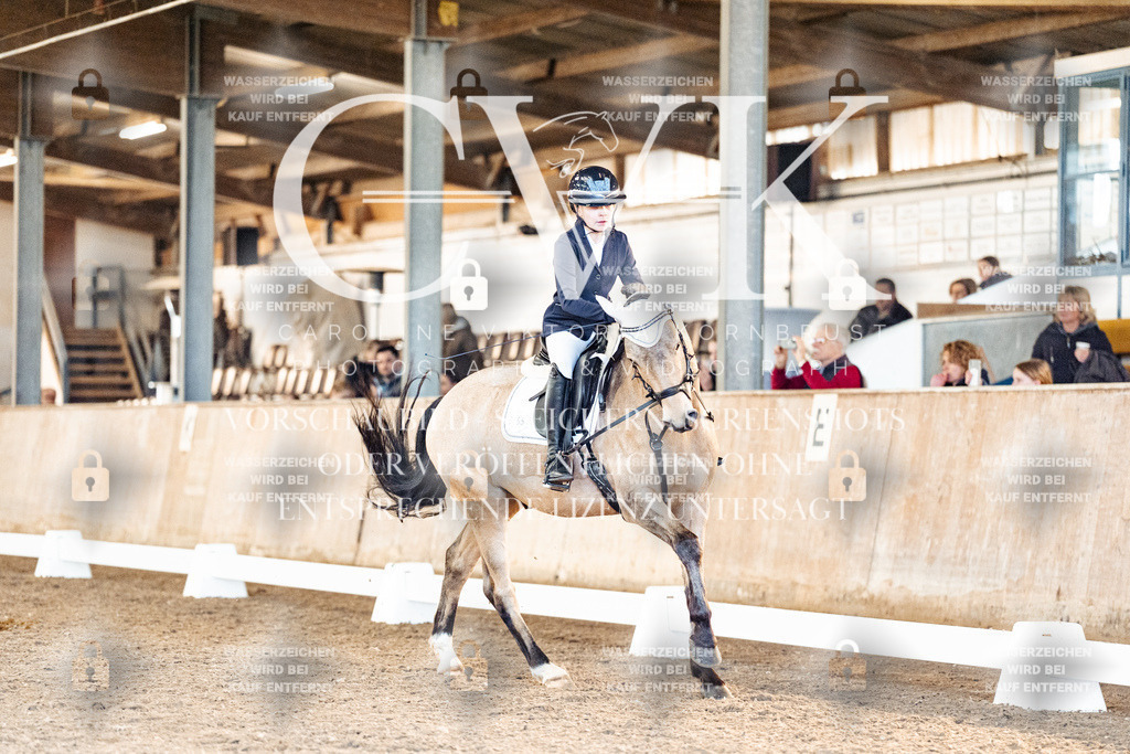 CK907392 | Turnierfotografie Pferdefotografie Trier Rheinland-Pfalz Pferdesport Reitsport Tierfotografie Sportfotografie Pferdevideo Pferdevideografie Equestrianvideography equestrianphotography  - Realisiert mit Pictrs.com