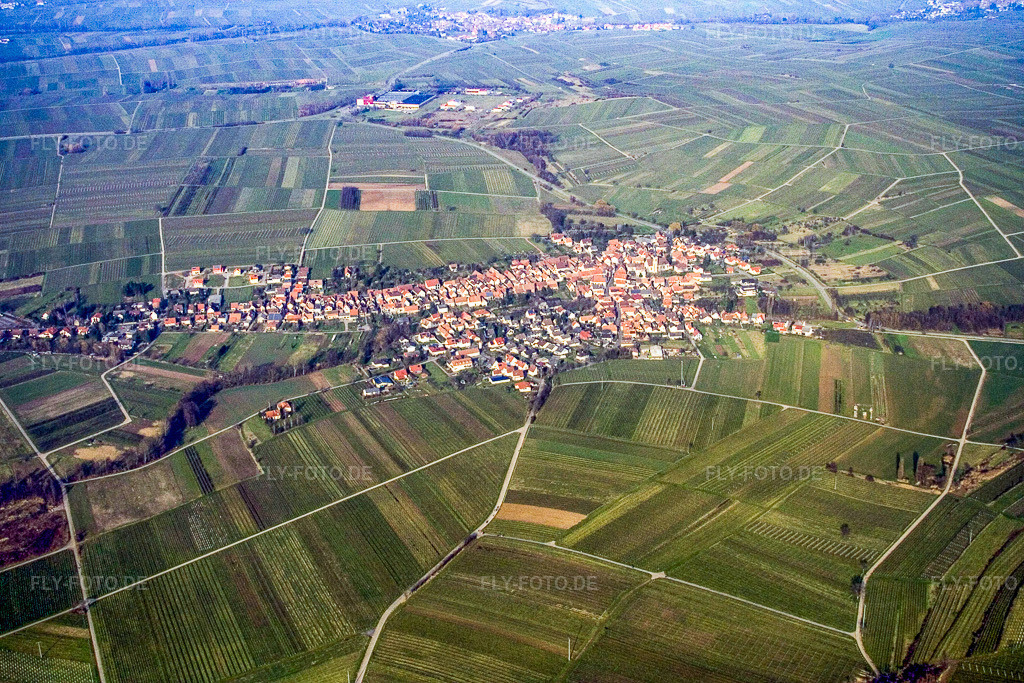 Luftbild: Dorf von Süden in Göcklingen im Bundesland Rheinland-Pfalz in Deutschland. Foto: IMG_5321.jpg vom 18.02.2007 durch Werner Riehm/FLY-FOTO.de