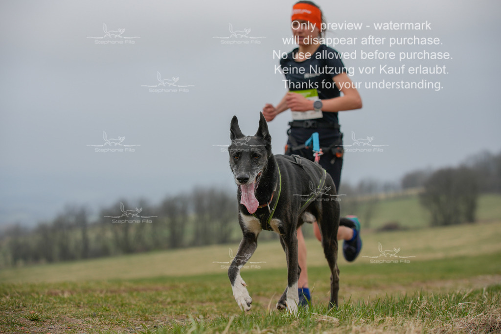 Canixlong-11 | stephaniefillaphotographie - Realisiert mit Pictrs.com