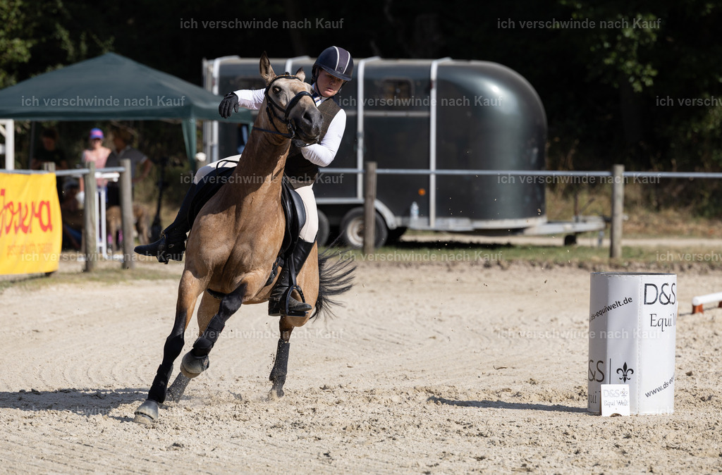 WS_SPEED_75_KerstinBernhardt-11 | working equitationturnier fotograf videograf stoibphotography marixx film working equitation deutschland reitsport turnierfotografie eventfotografie equestrian events