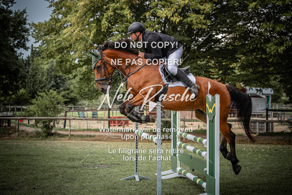 nelerasche_SprA__100Ede_12 | nelerasche