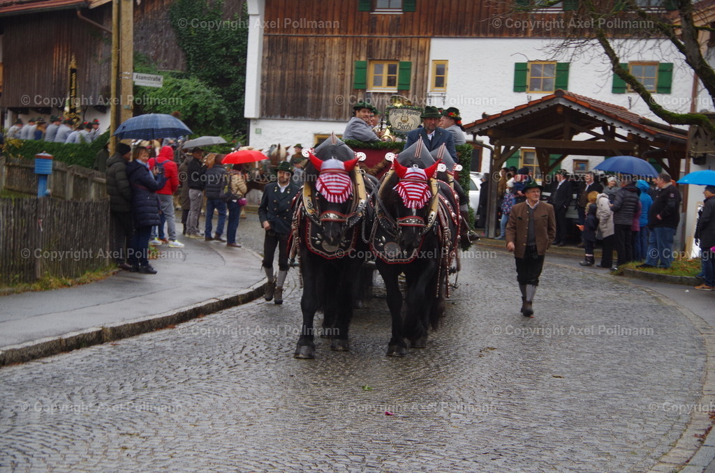 IMGP9201 | fotografiert von Axel PollmannLeonhardi Wallfahrt Benediktbeuern und Murnau, Fronleichnam, Fasching, Landschaft im Loisachtal und Benediktbeuern  - Realisiert mit Pictrs.com