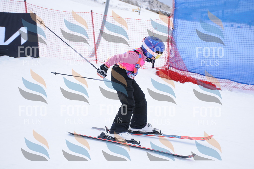 DSC_7661 | holidayphoto