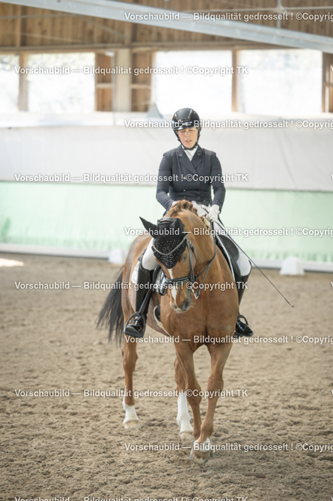 _D5A2440 | Emotionale Pferde- & People-Fotografie rund um Heidelberg, Leimen & Umgebung. Natürliche Fotos von Pferd, Mensch & Familie. Jetzt Termin sichern!