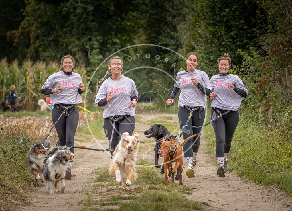 Pfotenfotografie_DV3A7132 | Hundefotografie, Tierfotograf, Pfotenfotografie, Fotoshooting Hund, Hunde Portrait, Hundesport, Hundeportraits, Heideshooting, Hunde, Sportfotograf, Hundefotograf, Turnierhundsport, THS,  - Realisiert mit Pictrs.com
