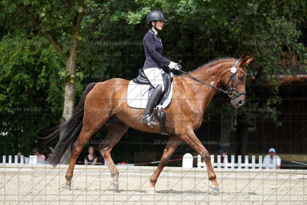 20230826-FAH05463 | Forstinning, 2023, Dressurturnier, Turniersportbilder, Turnierfotografen Bayern, Fotoagentur Herrmann, Reitsportfotografie, Turnierbilder