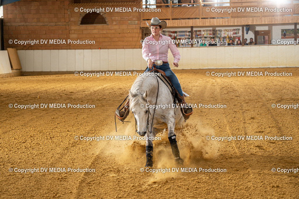 MIT00990 | dv-media-shop - Realisiert mit Pictrs.com