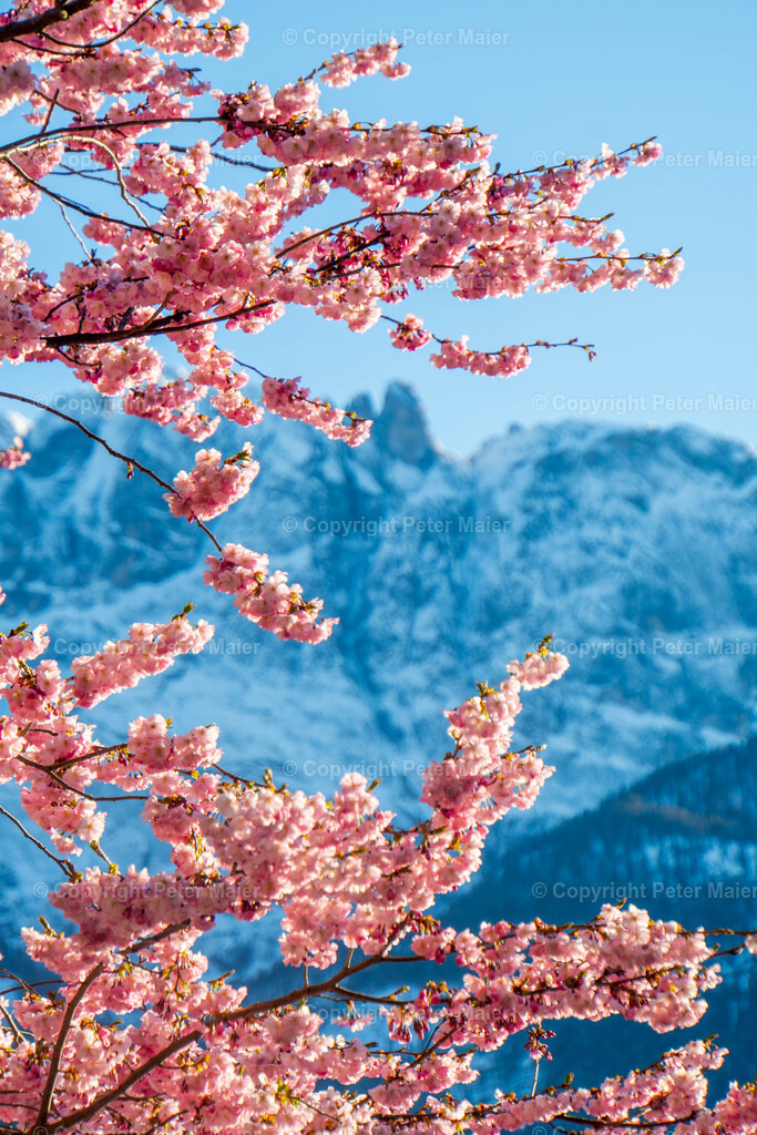 Lienzer_Dolomiten-183 | piet_flosse