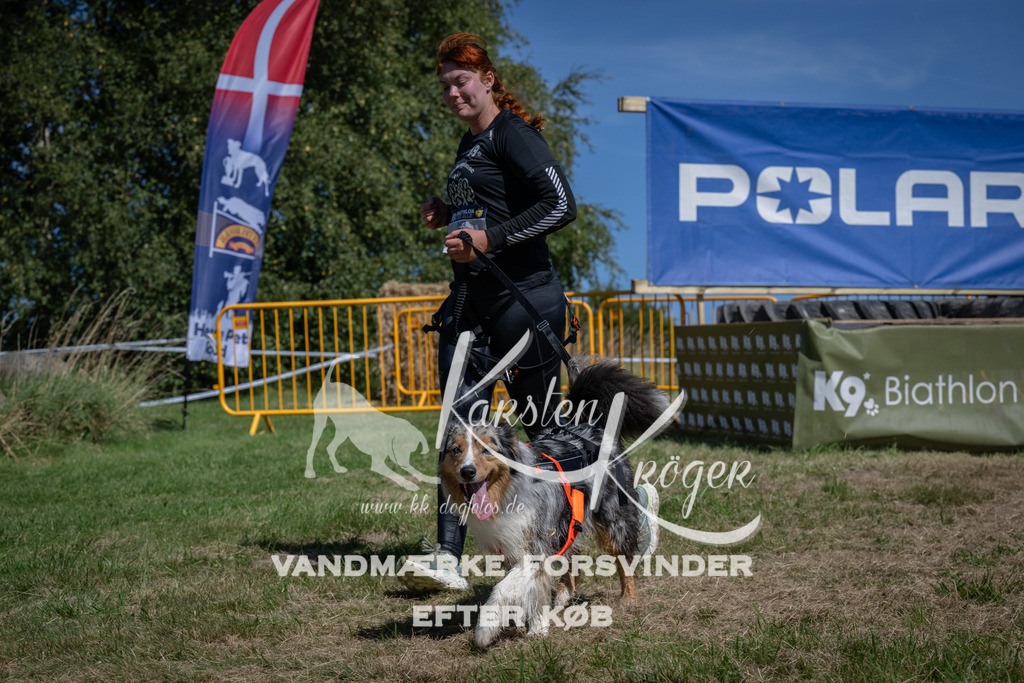 1228_ZZ95368 | kk-dogfotos