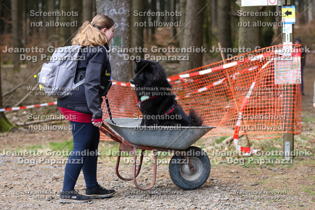 Dog Paparazzi - VCC26-859 | Dog Paparazzi Jeanette Grottendiek Fotografie & Videografie - Realisiert mit Pictrs.com