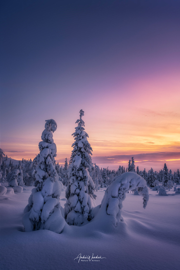 Winterstimmung (Hochformat) | Andre Wandrei - Nature Artworx - Realisiert mit Pictrs.com