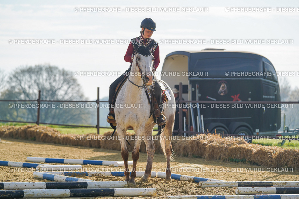 DSC00824 | Pferdegrafie