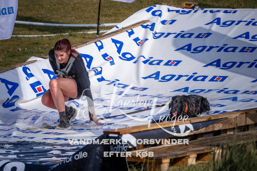 _ZZ954710726 | kk-dogfotos