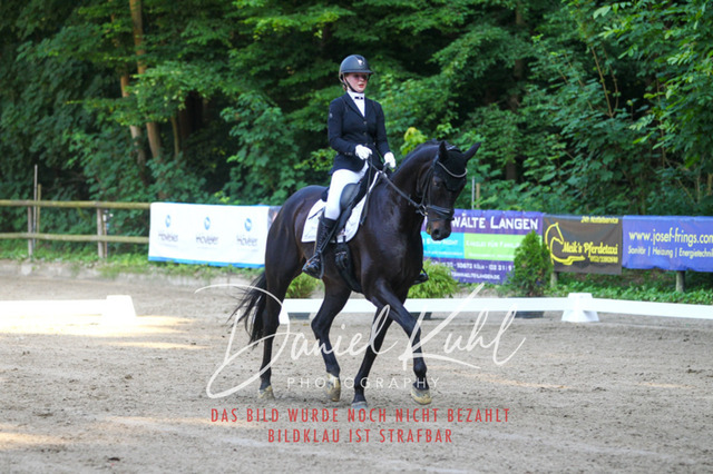 DKP42984 | Turniersportfotografie; Pferdefotografie; Dressurfotografie