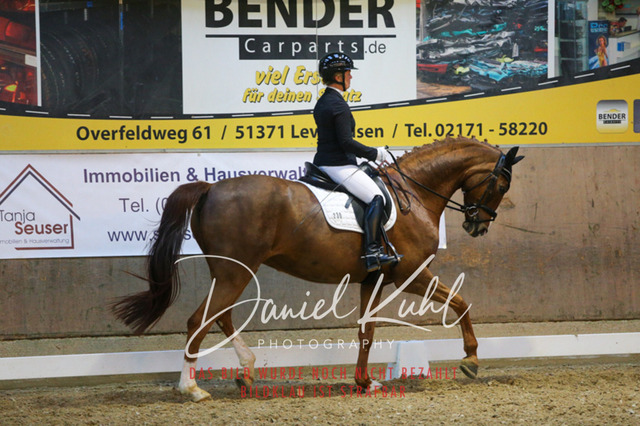 IMG_2992 | Turnierfotos kaufen im Webshop von Daniel Kuhl Photography – entdecke professionelle Reitsportfotos aus Turnieren & Events. Hochwertige Turnierbilder online bestellen & sichern. Jetzt Fotos von Reitsportturnieren kaufen!