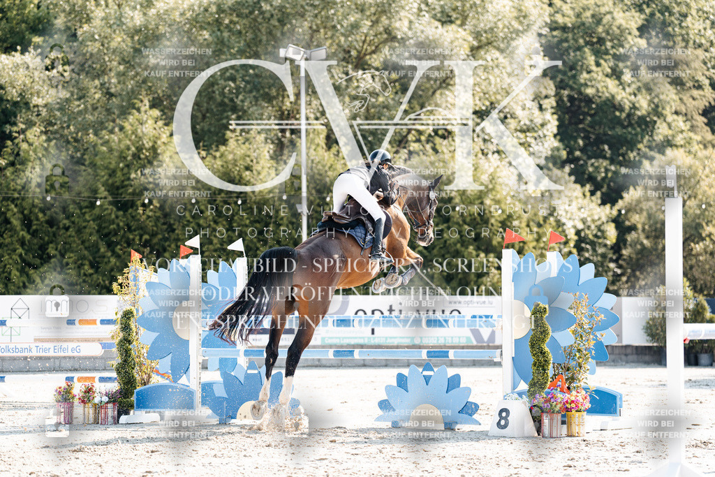 CK901945 | Turnierfotografie Pferdefotografie Trier Rheinland-Pfalz Pferdesport Reitsport Tierfotografie Sportfotografie Pferdevideo Pferdevideografie Equestrianvideography equestrianphotography  - Realisiert mit Pictrs.com