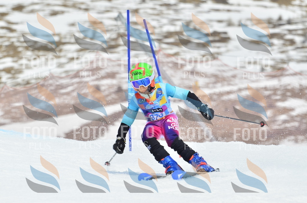 _ELE3014 | holidayphoto