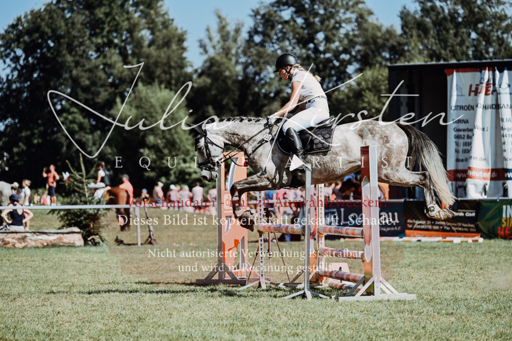 DSC_6794 | Pferde- und Turnierfotografie in Westsachsen. Pferdeportraits, Auftragszeichnungen und intuitive Kunst.