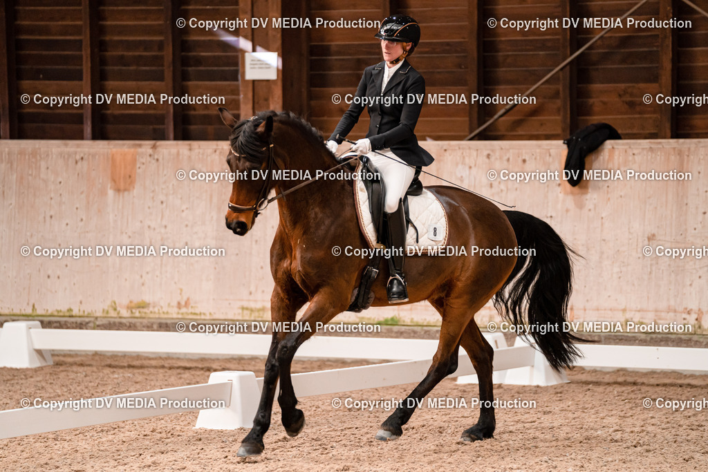 Dressur Tag 2-120 | dv-media-shop - Realisiert mit Pictrs.com