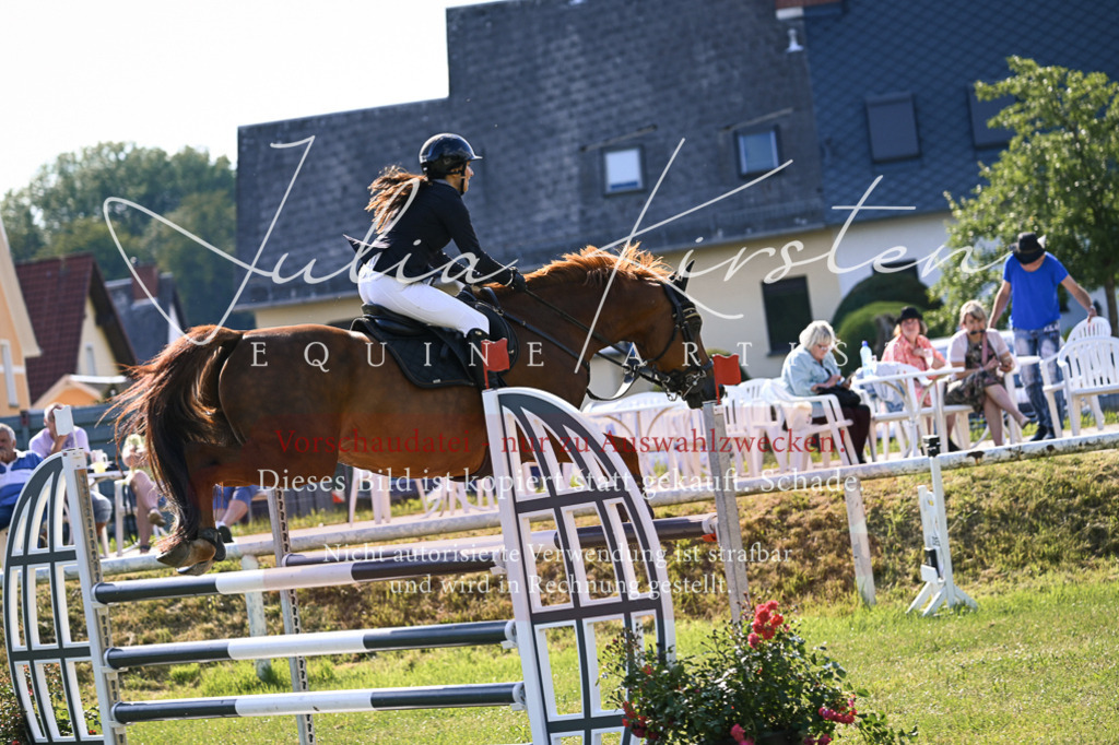 DSC_1393 | Pferde- und Turnierfotografie in Westsachsen. Pferdeportraits, Auftragszeichnungen und intuitive Kunst.