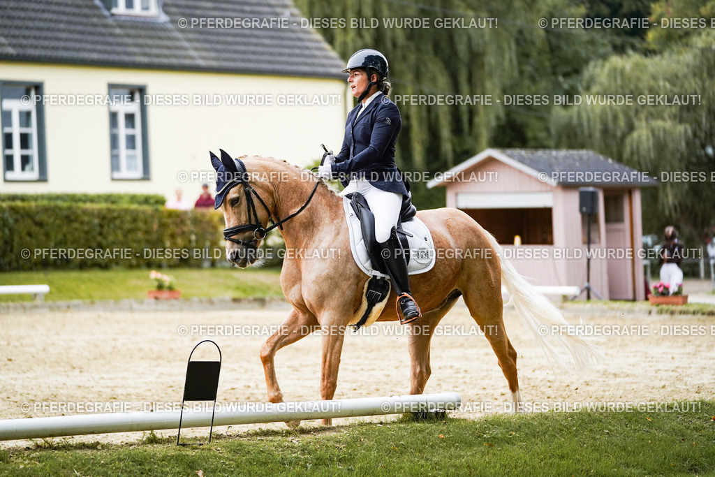 DSC09089 | Pferdegrafie